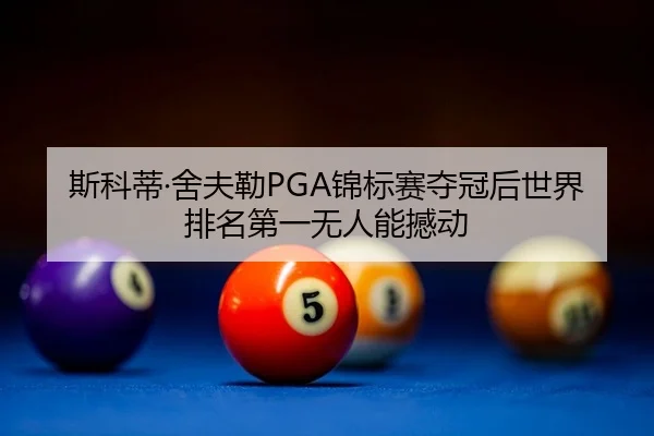 si-ke-di-she-fu-lei-jin-biao-sai-duo-guan-hou-shi-jie-pai-ming-di-yi-wu-ren-neng-han-dong-2-170.jpg