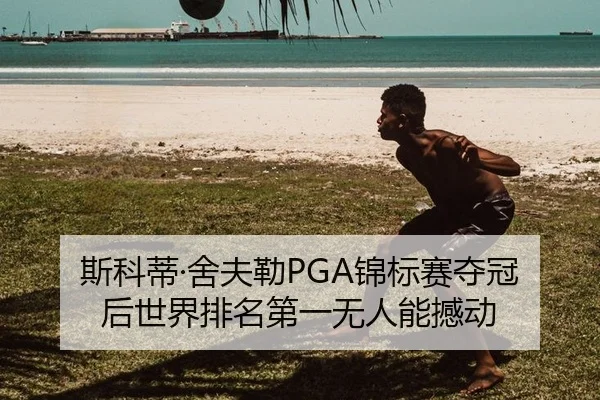 斯科蒂·舍夫勒PGA锦标赛夺冠后世界排名第一无人能撼动